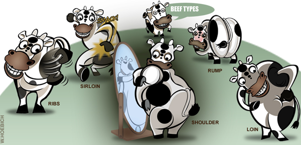 Beef types shown with cartoon cows