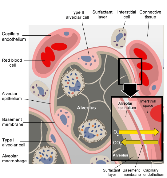 BerC_012512_16A_s01-